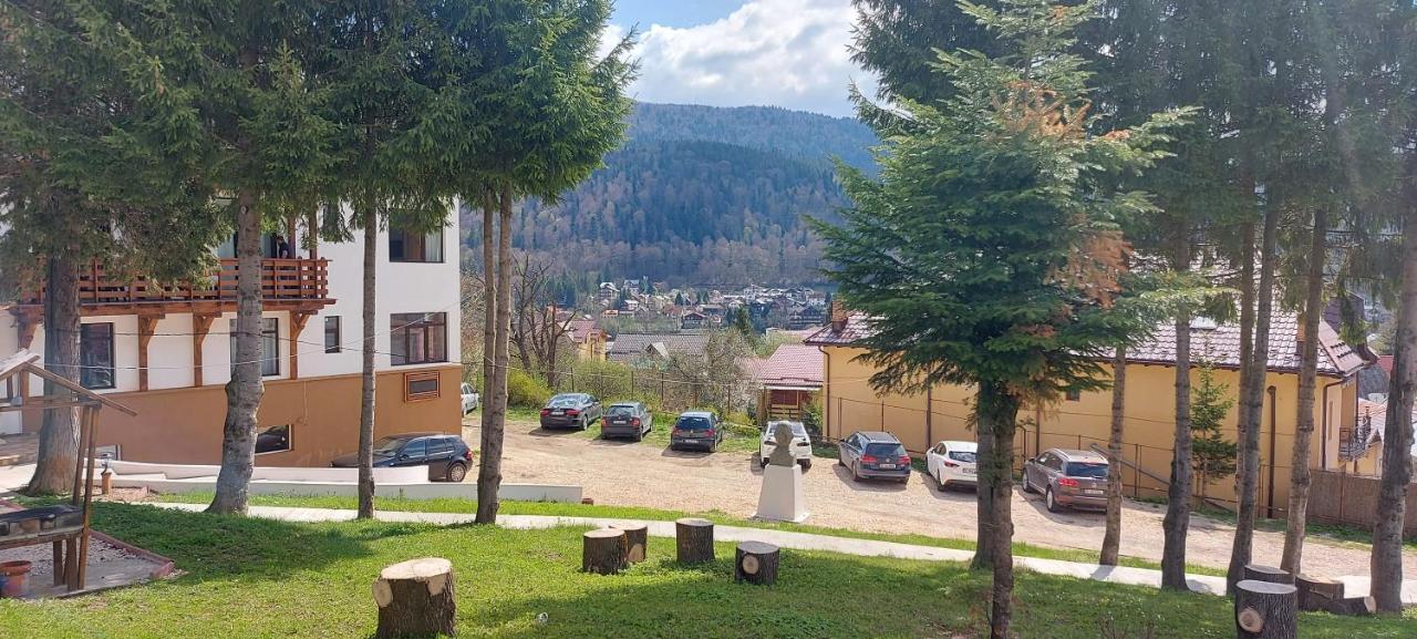 Vila Panoramic Busteni Buşteni Exterior foto