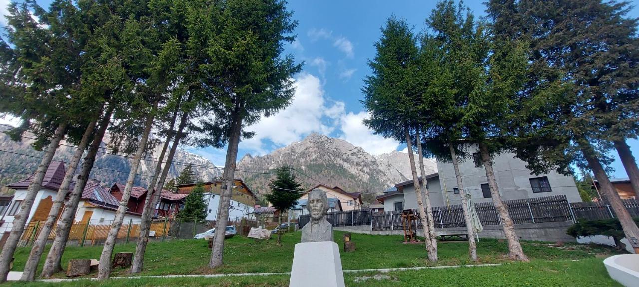 Vila Panoramic Busteni Buşteni Exterior foto