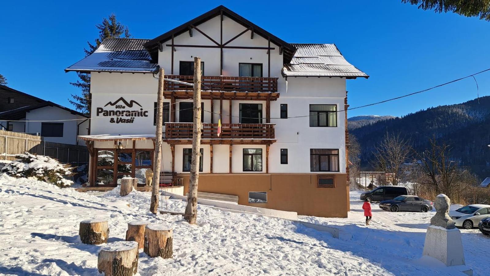 Vila Panoramic Busteni Buşteni Exterior foto