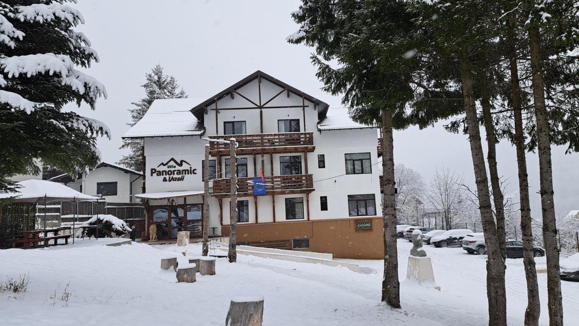 Vila Panoramic Busteni Buşteni Exterior foto