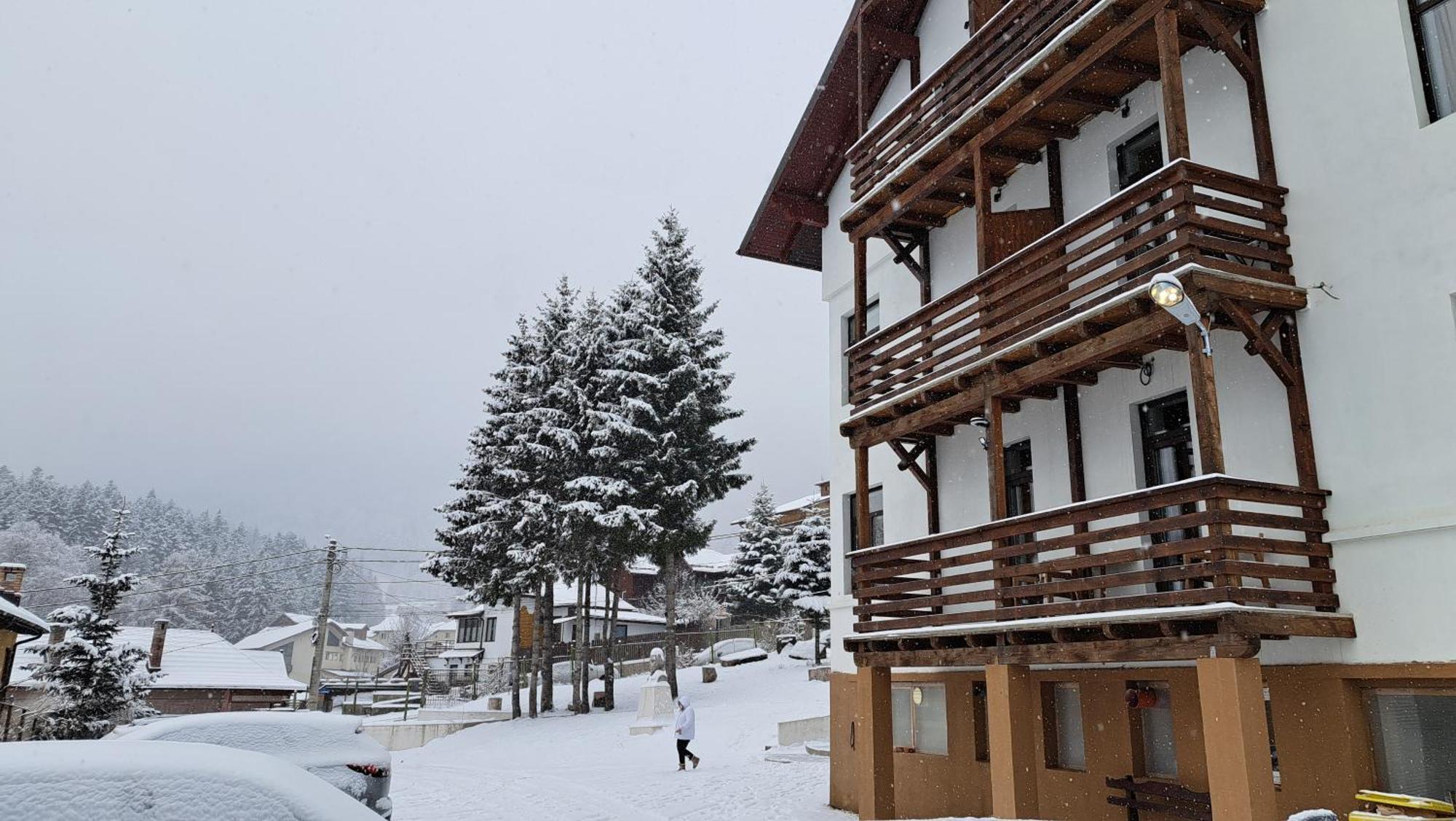 Vila Panoramic Busteni Buşteni Exterior foto